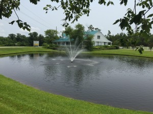 Waterfeatures & Ponds
