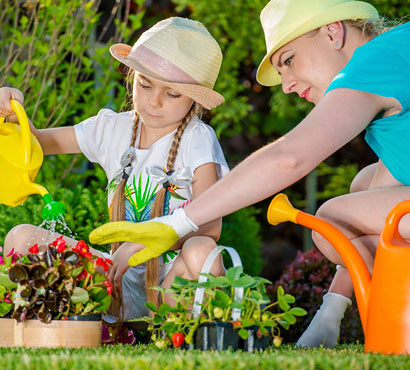 Residential Landscape Maintenance, Rutherfordton, NC Residential Landscape Maintenance, Rutherfordton, NC