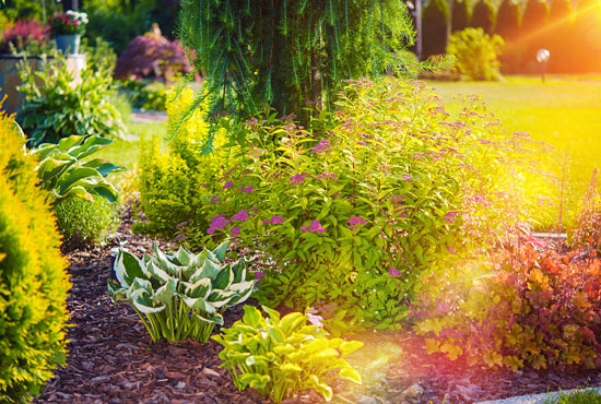 Landscaping, Rutherfordton, NC Landscaping, Rutherfordton, NC